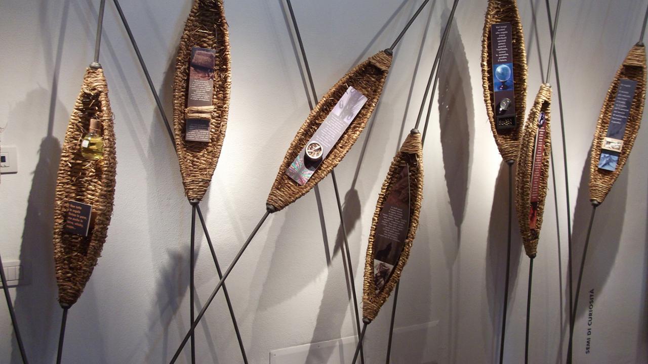 MUSEO DELLA SEGALE - VALDIERI